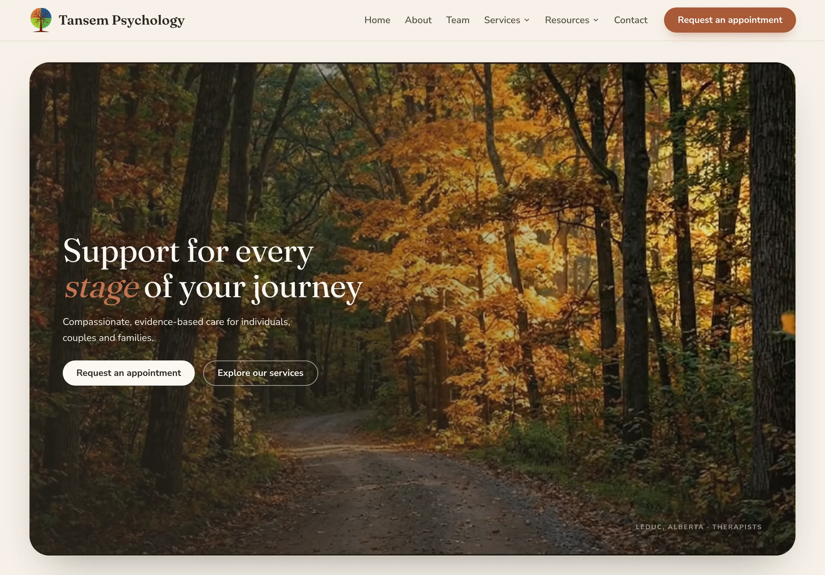 Mental Health Care for Tansem Psychology